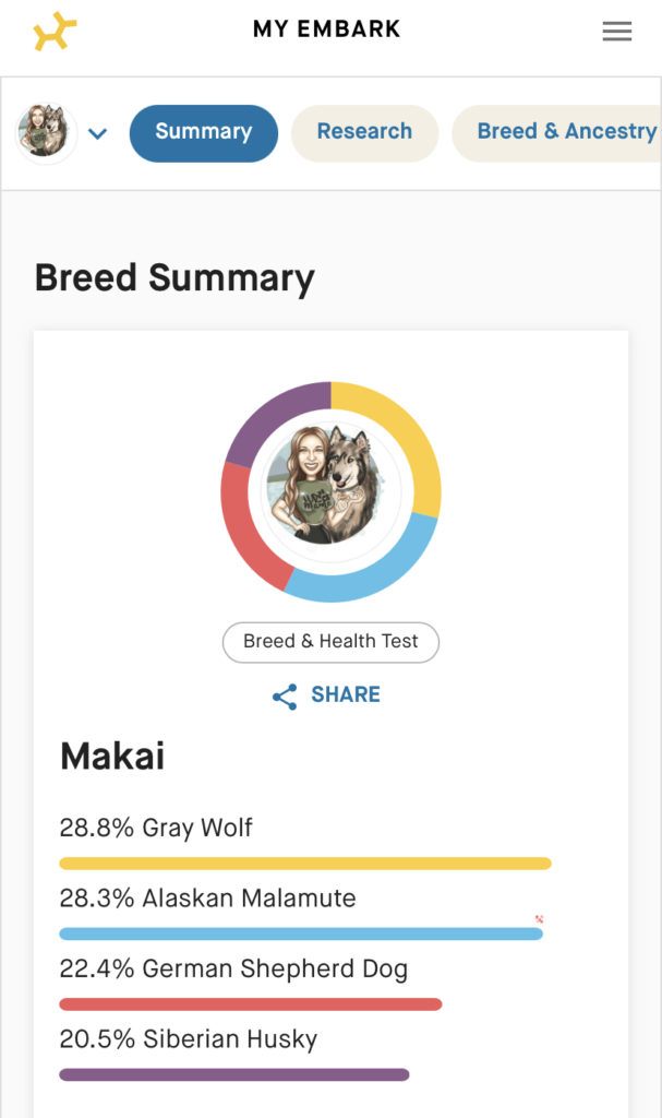 Picture of Embark Dog DNA Test results