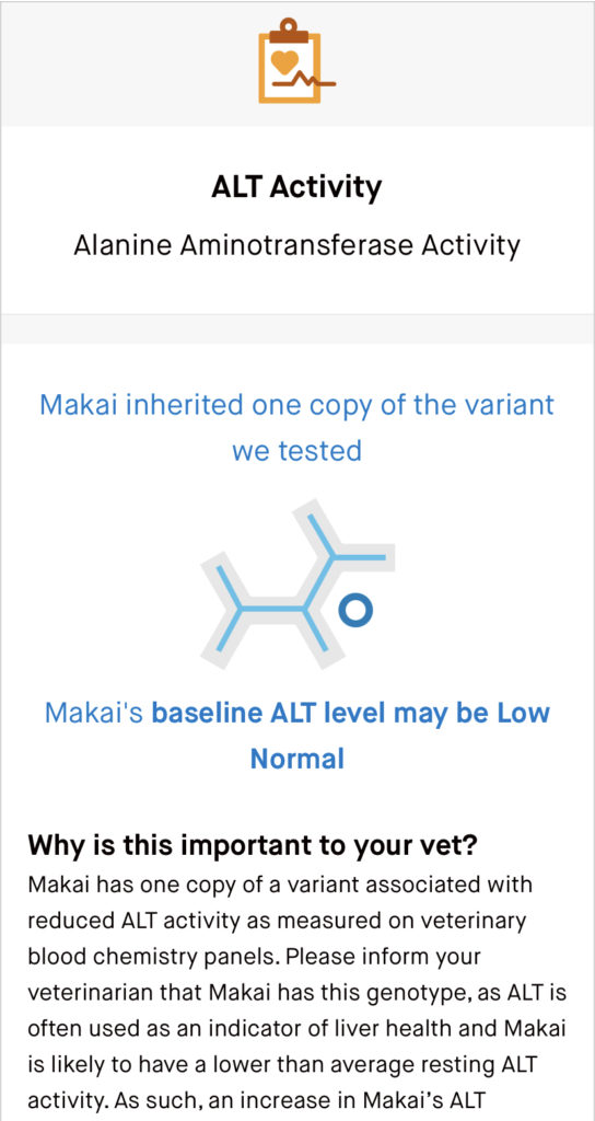 embark dog dna test