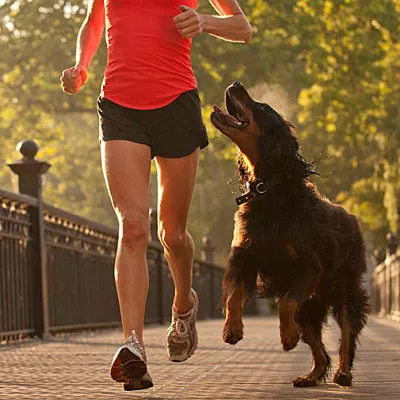 running with your dog