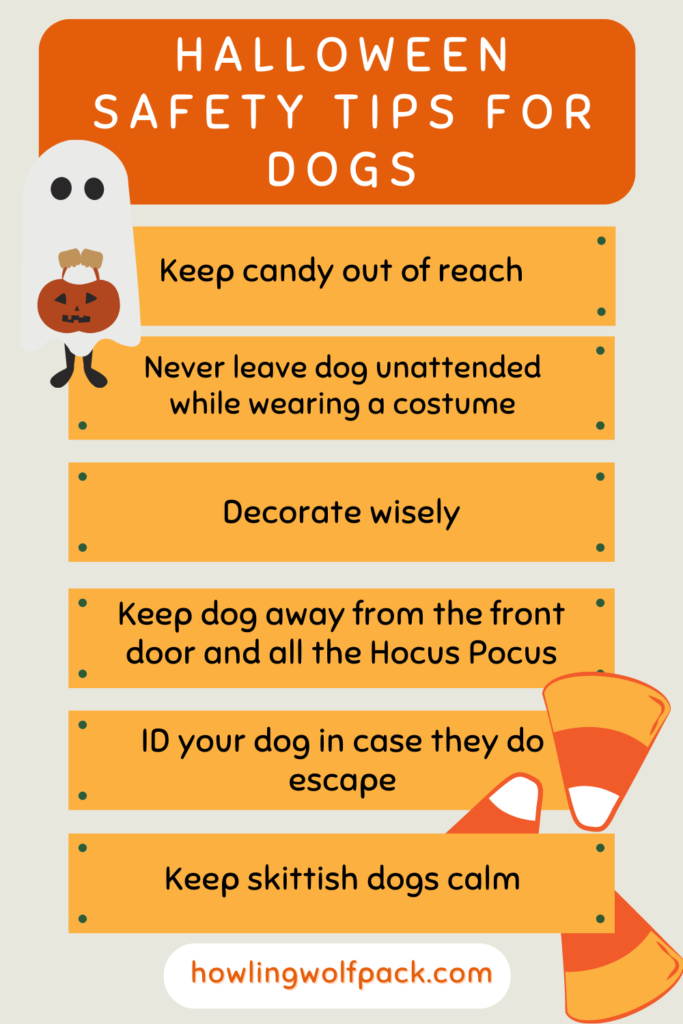 halloween for dogs