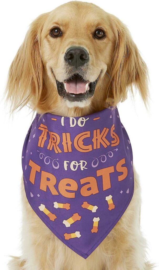 halloween for dogs