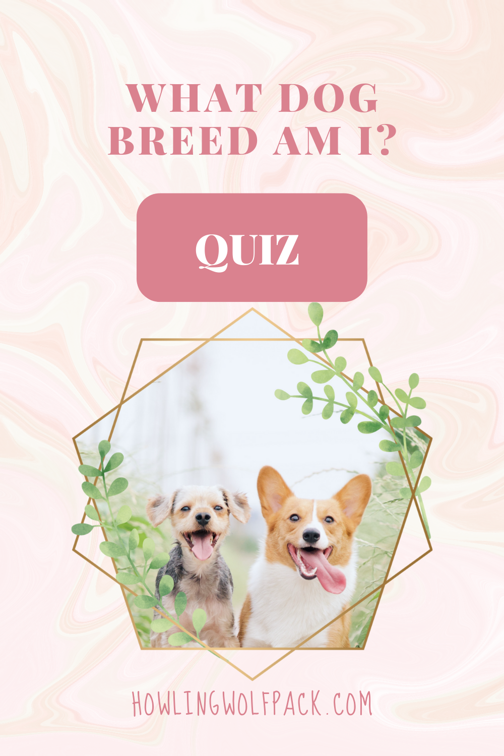What Dog Breed Am I Quiz