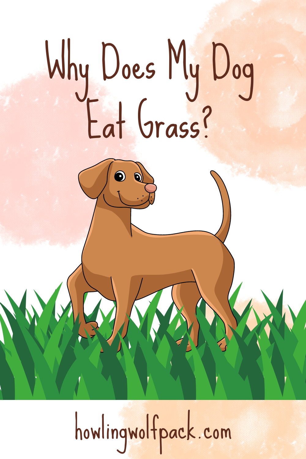 Curated Why Do Puppies Eat Grass For Protein Gallery View 51
