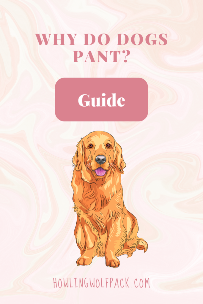 why do dogs pant?