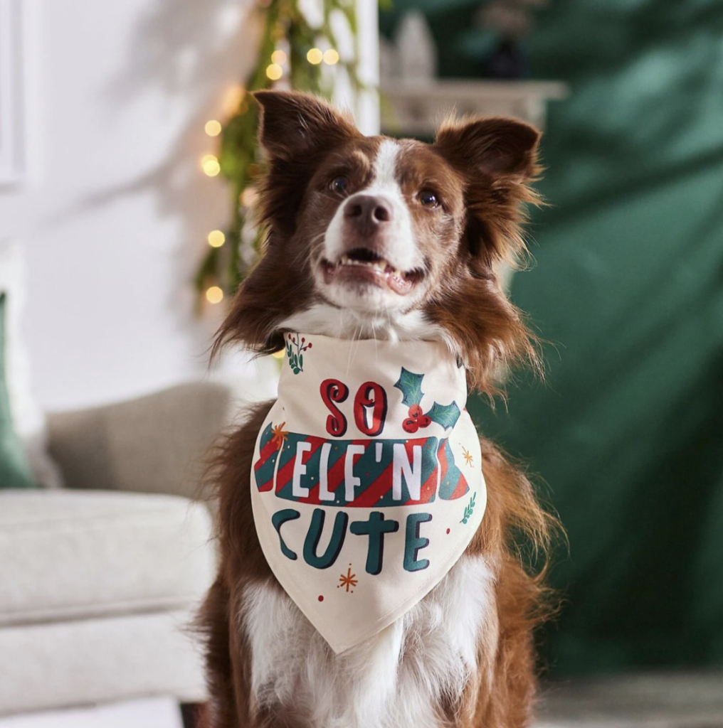 dog christmas bandana