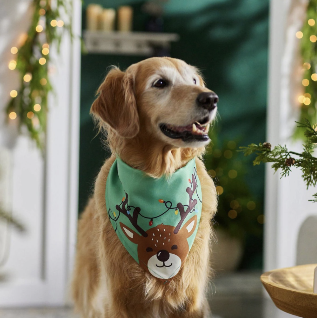 dog christmas bandana