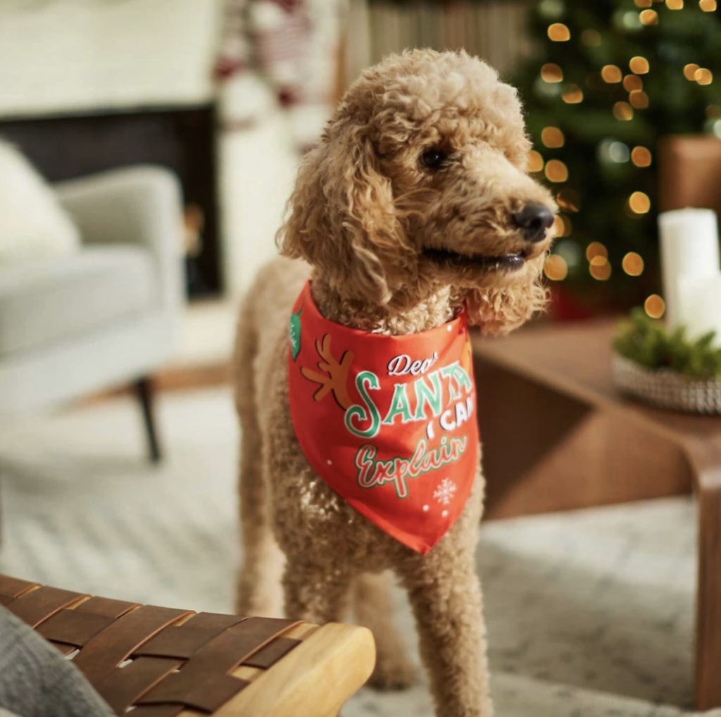 dog christmas bandana