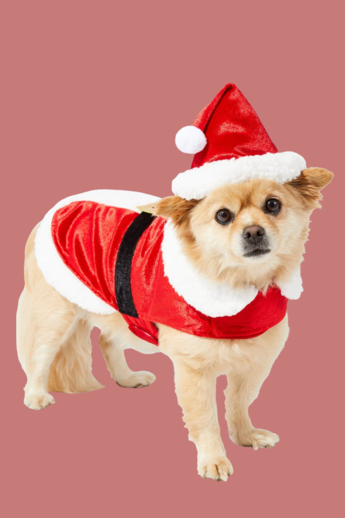 christmas dog costume