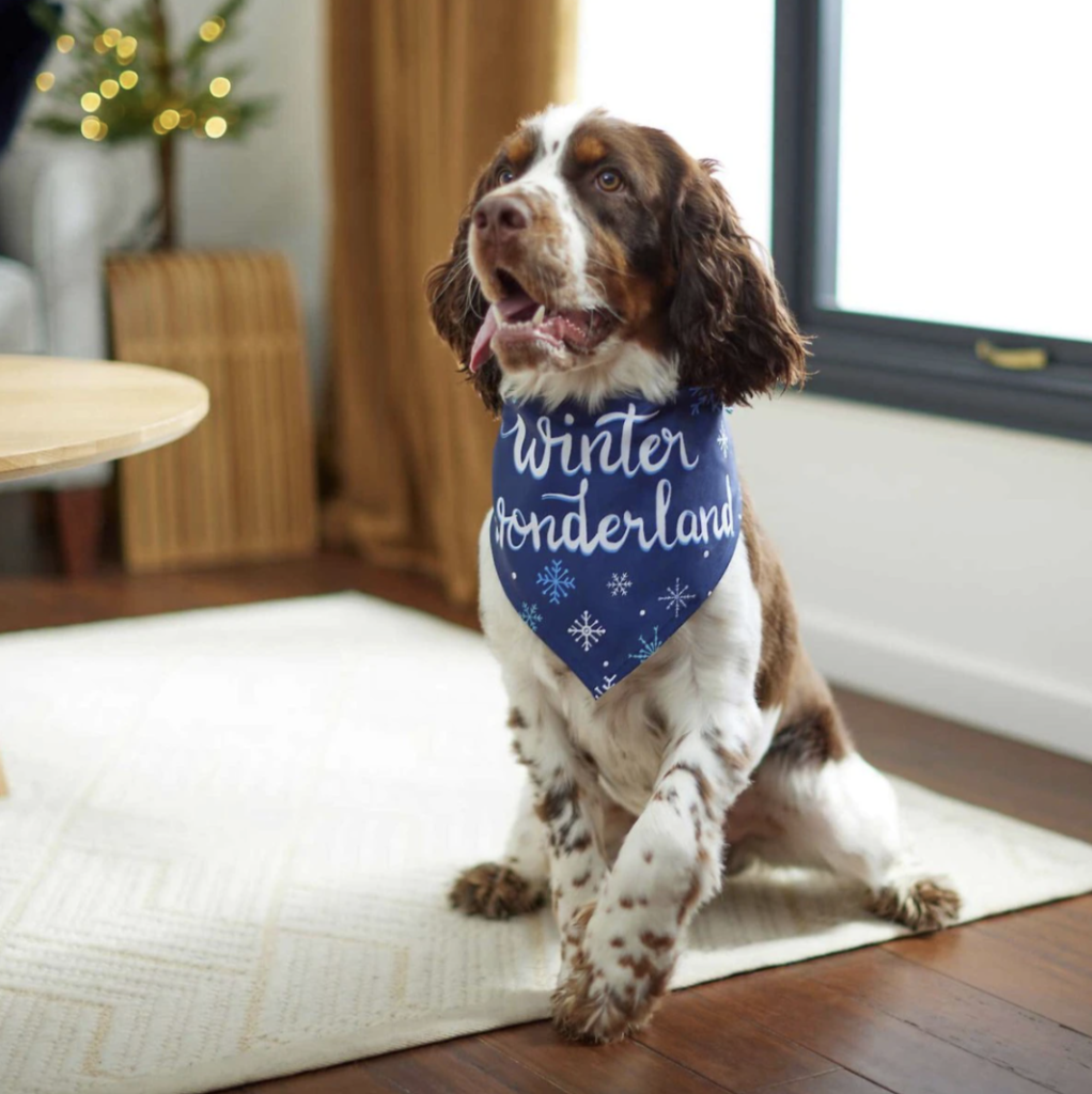 dog christmas bandana