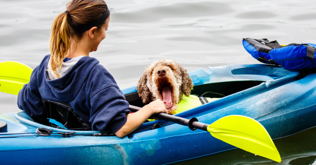 ocean kayak malibu two