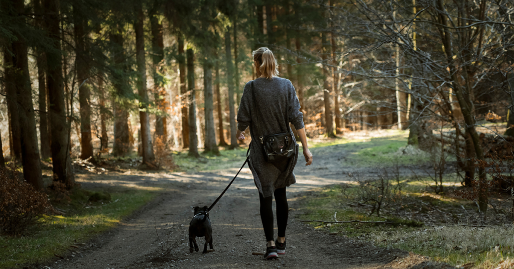 safely walk your dog at night