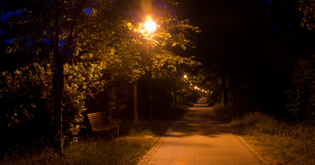 safely walk your dog at night