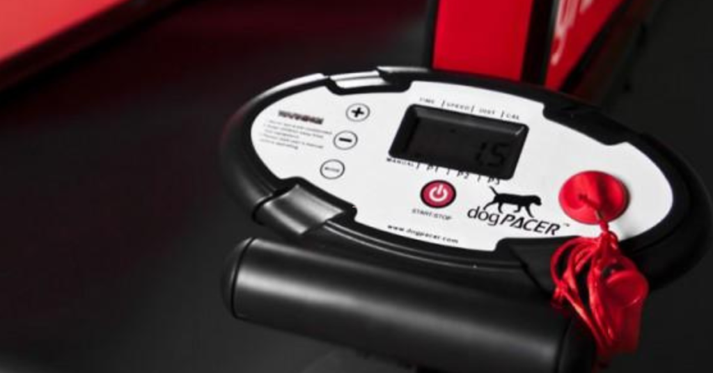 best dog treadmills