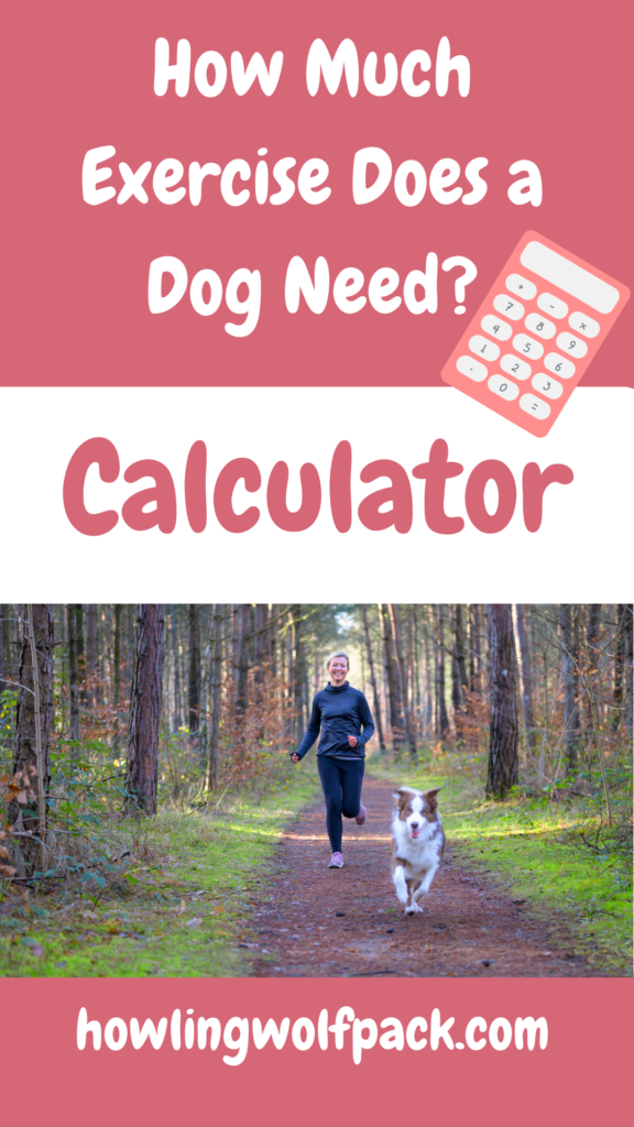 how much exercise does my dog need calculator