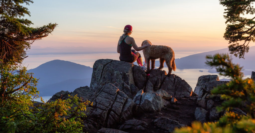 How Much Exercise Does a Dog Need?