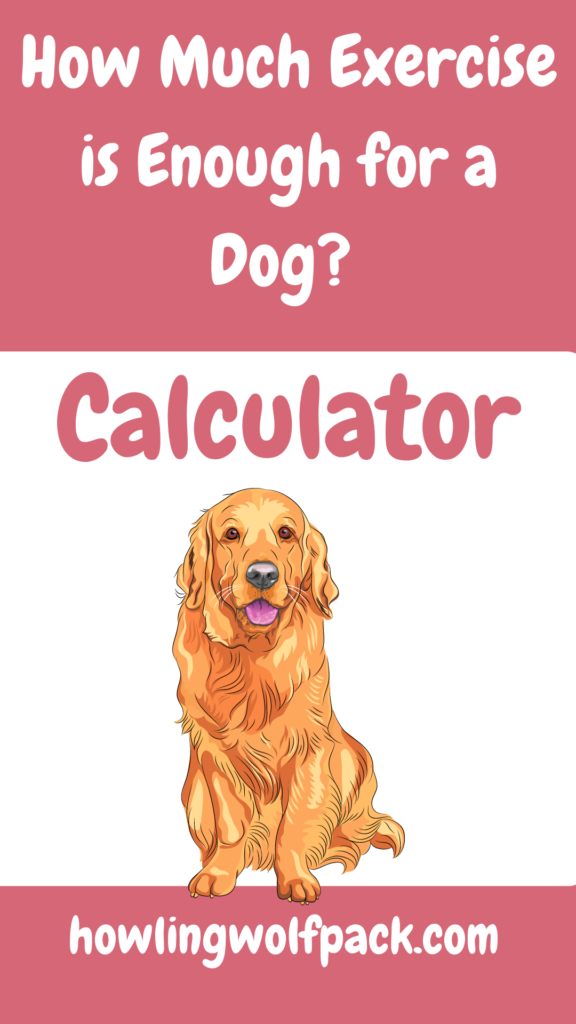 how much exercise does my dog need calculator