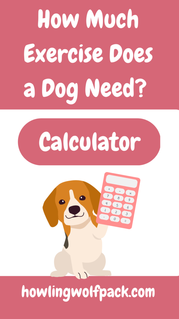 how much exercise does my dog need calculator