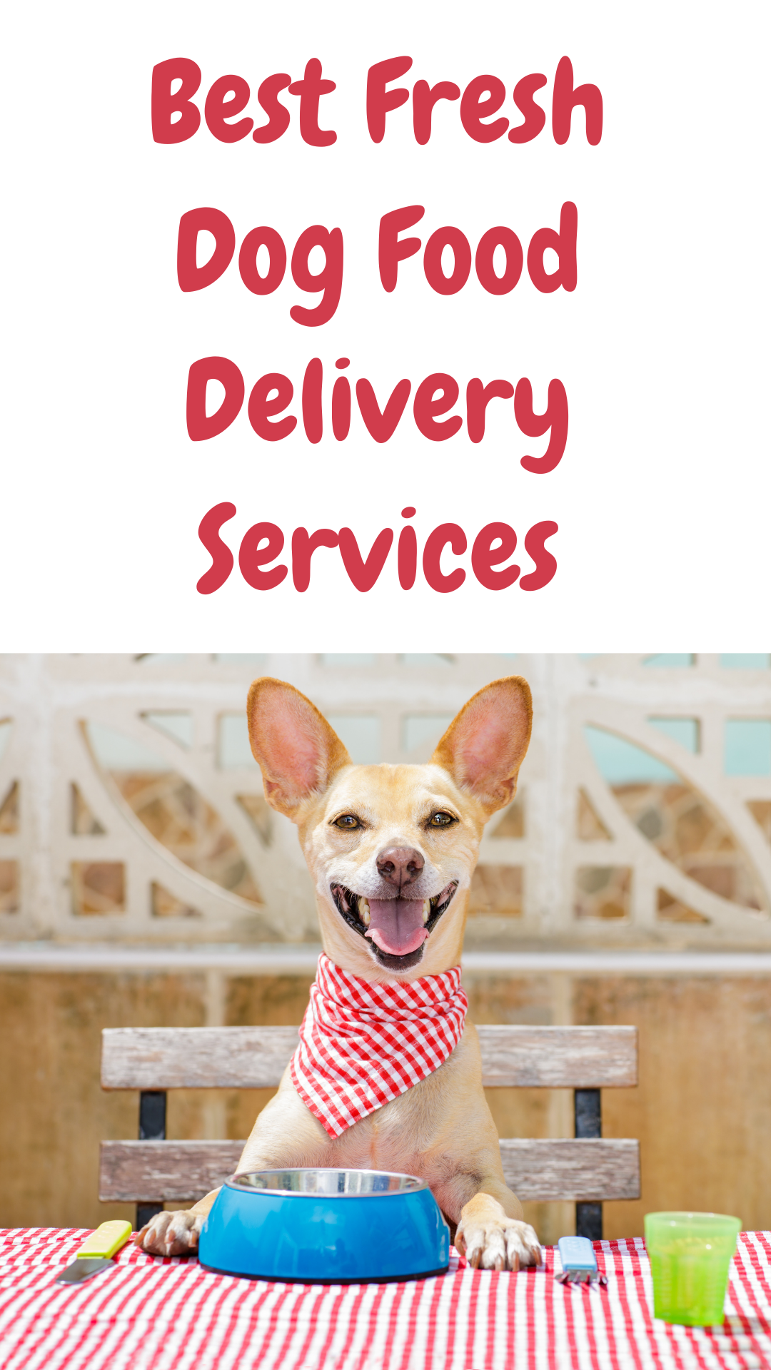 5 Best Fresh Dog Food Delivery Services For 2024