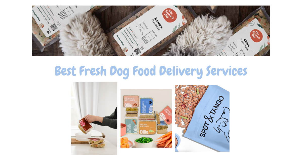 5 Best Fresh Dog Food Delivery Services For 2024