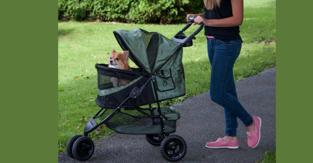 best dog stroller for small dogs