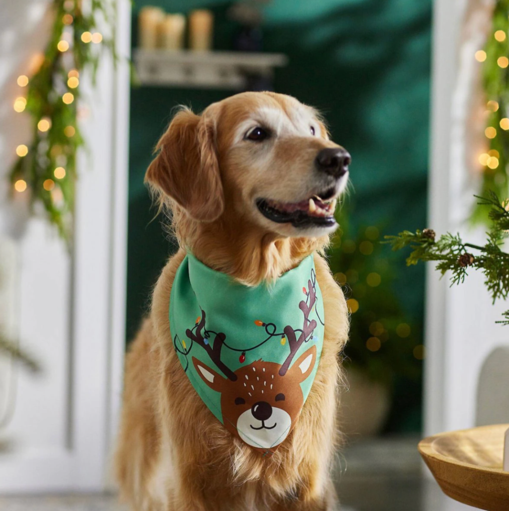 christmas dog costume