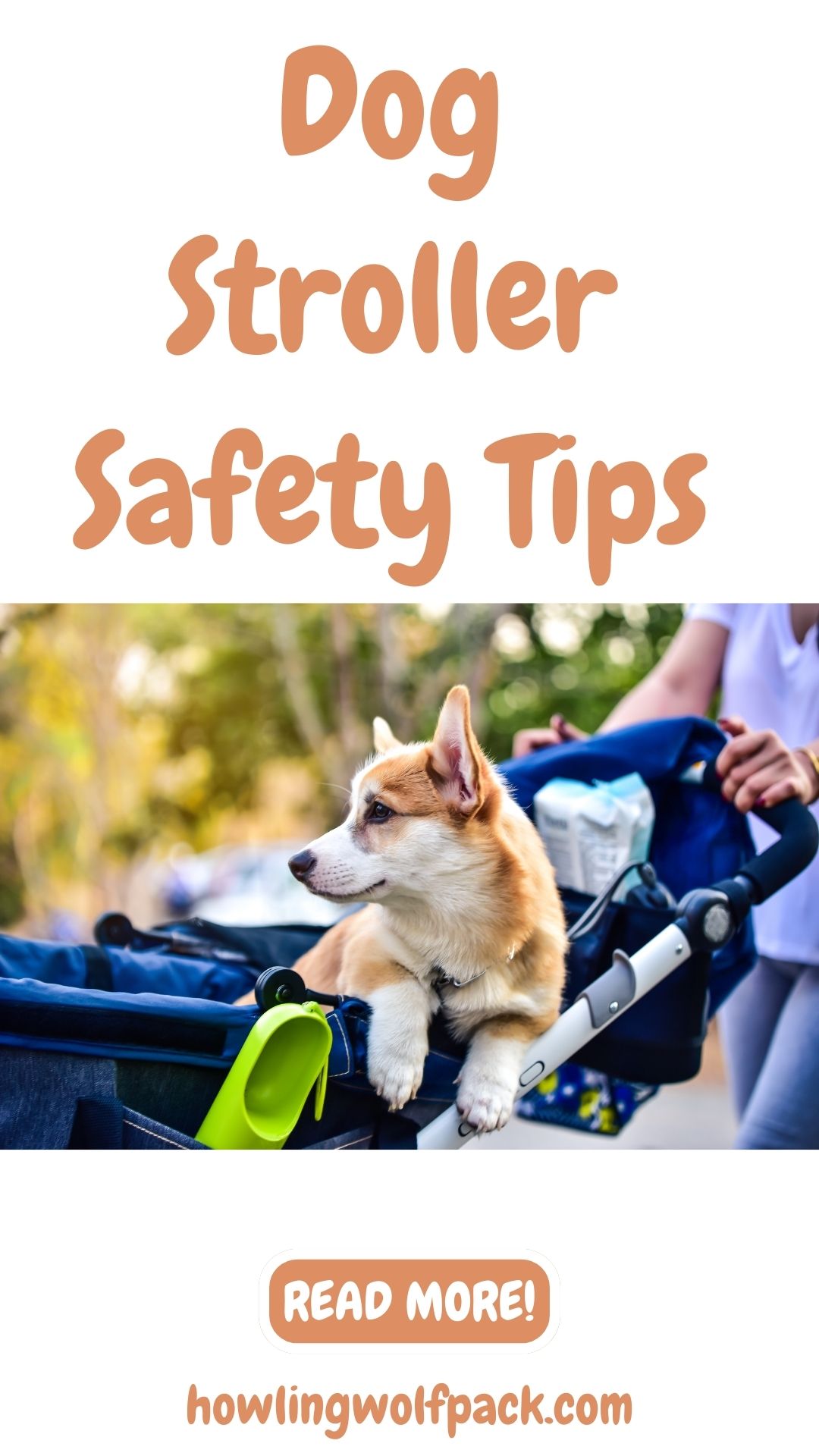 Image showcasing 5 Top Safety Tips For Dog Strollers