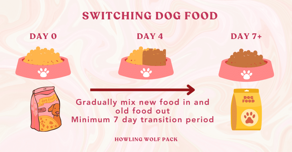 switching dog food - old for new infographic