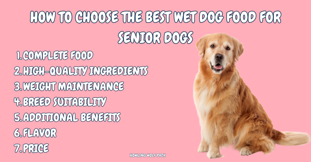 List of what to look for when choosing the best wet dog food for senior dogs article