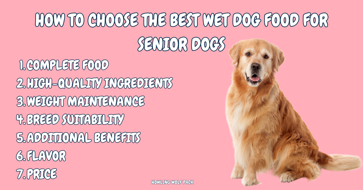 Wellness Senior Wet Dog Food A Comprehensive Guide to Canine Wellness.