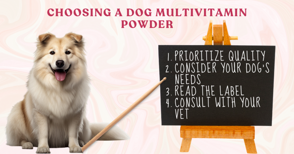 a dog with a pointer pointing to how to choose a dog multivitamin powder sign.