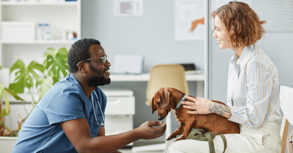 vet with woman and her dog for 'how to treat constipation in dogs' article.