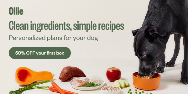 screenshot of Ollie website - 50% off box for 'Ollie Dog Food Cost' article.