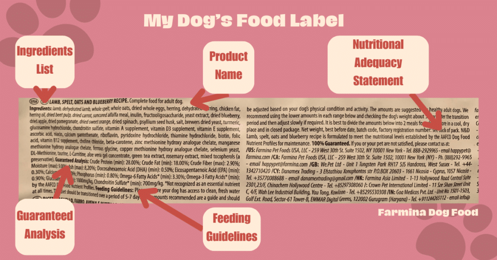 What Information is Found on Dog Food Labels? - How to Read a Dog Food Nutrition Label