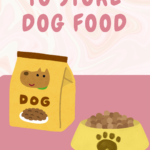 how to store dog food pins