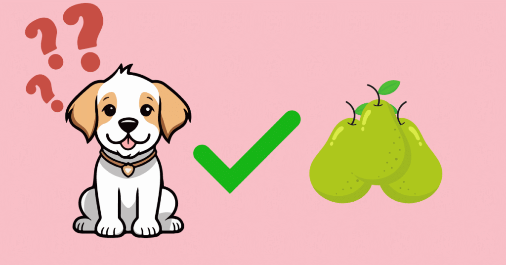 Can dogs eat pears graphic