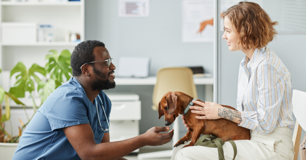 woman with dog at vet for how much does a dog cost article.