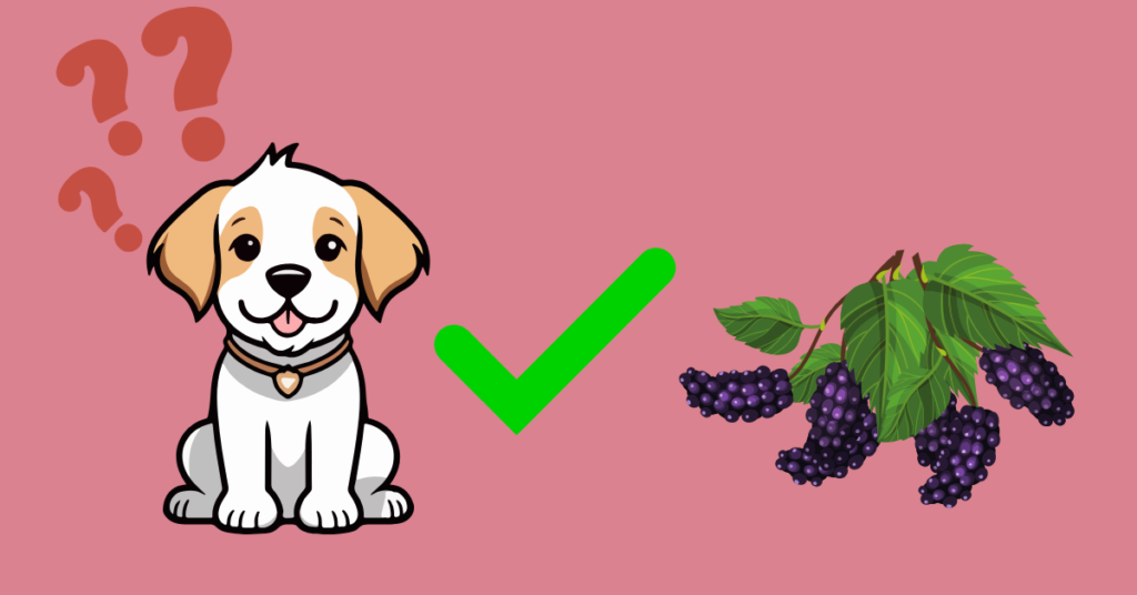 can dogs eat mulberries?