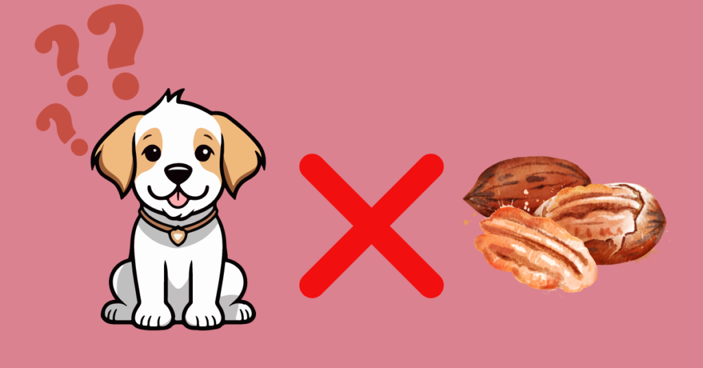 can dogs eat pecans?