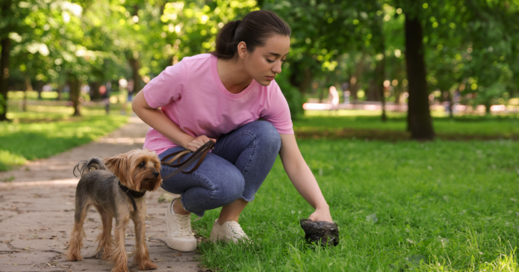 woman picking up healthy dog poop