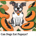 Can Dogs Eat Papaya