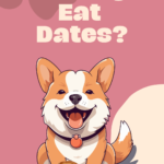 Can dogs eat dates