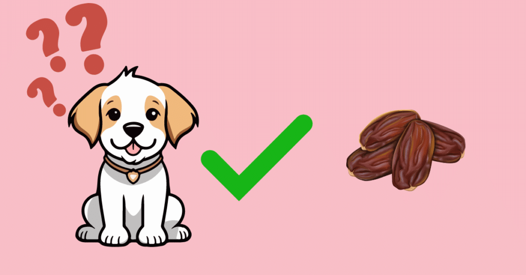 Can Dogs Eat Dates? A Comprehensive Guide for Pet Parents