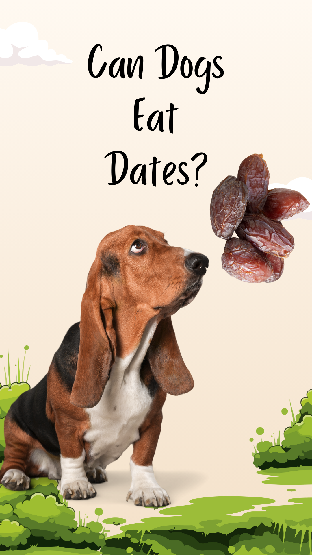 Can Dogs Eat Dates? A Comprehensive Guide for Pet Parents