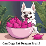 can dogs eat dragon fruit