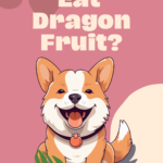 Can dogs eat dragon fruit