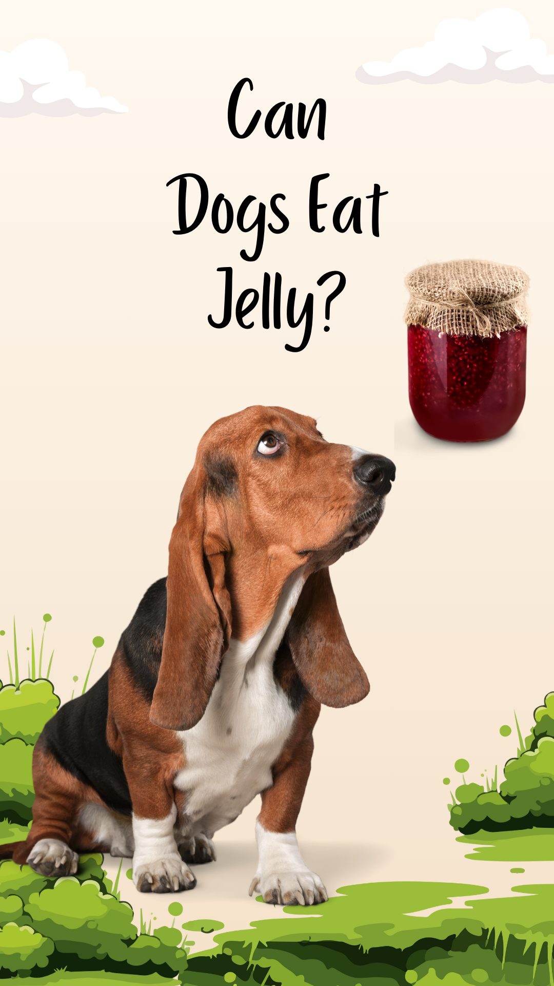 Image showcasing Can Dogs Eat Jelly? Jam Spreads, Jiggly Jelly and More!