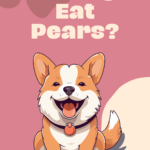 Can dogs eat pears