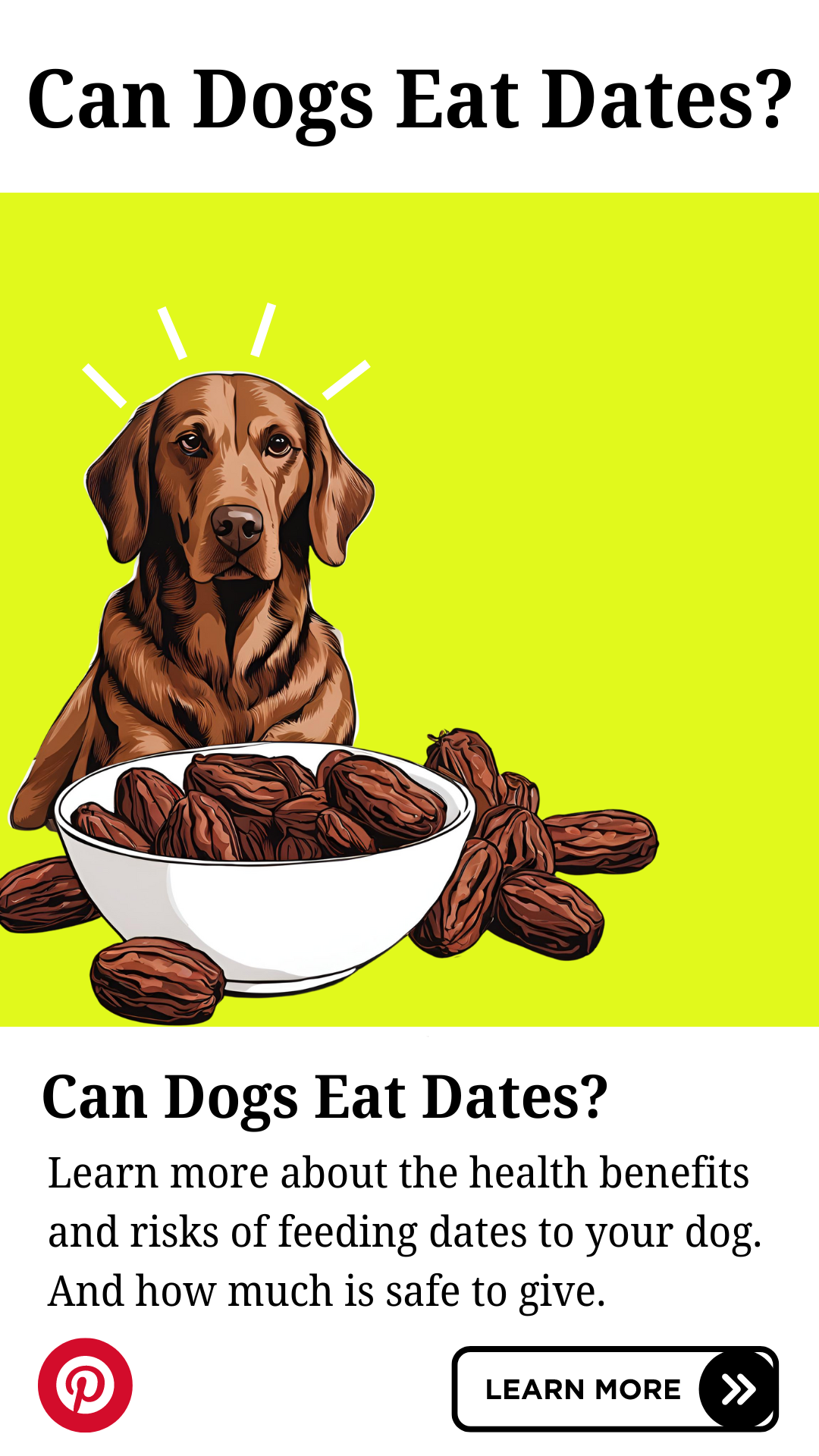 Can Dogs Eat Dates? A Comprehensive Guide for Pet Parents