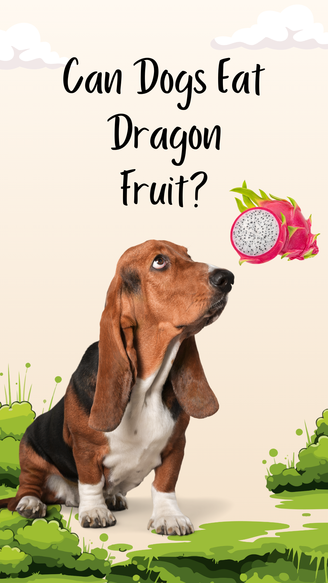 Can dogs eat dragon fruit 