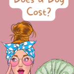 how much does a dog cost